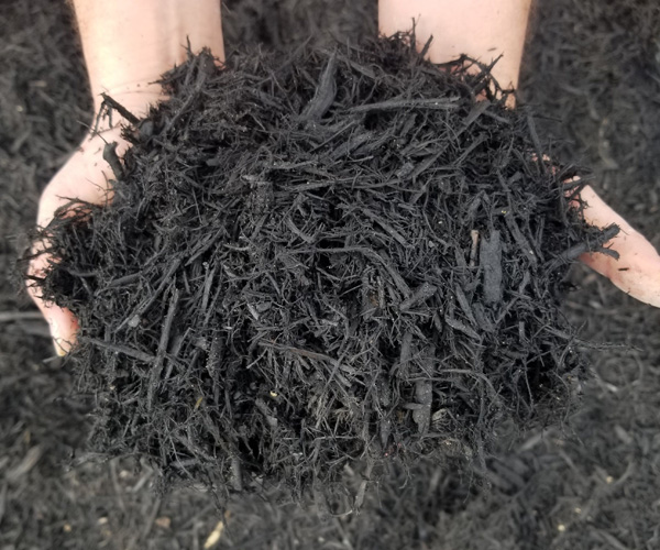 black-dyed-mulch