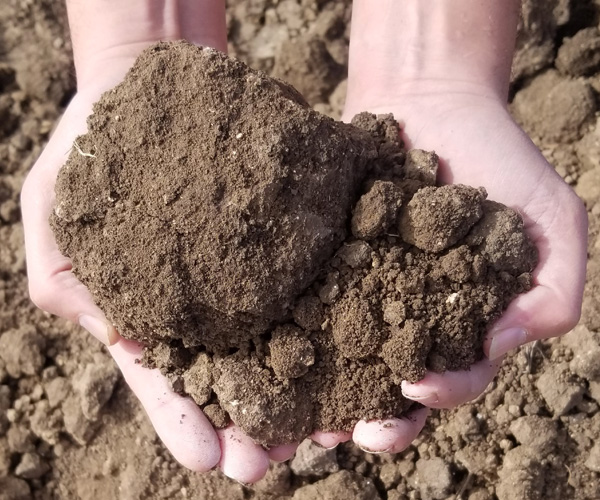 top-soil-unscreened