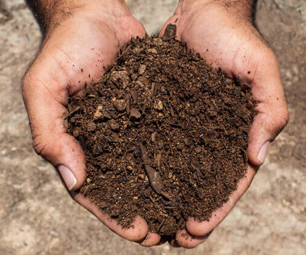 thomas-stone-garden-soil